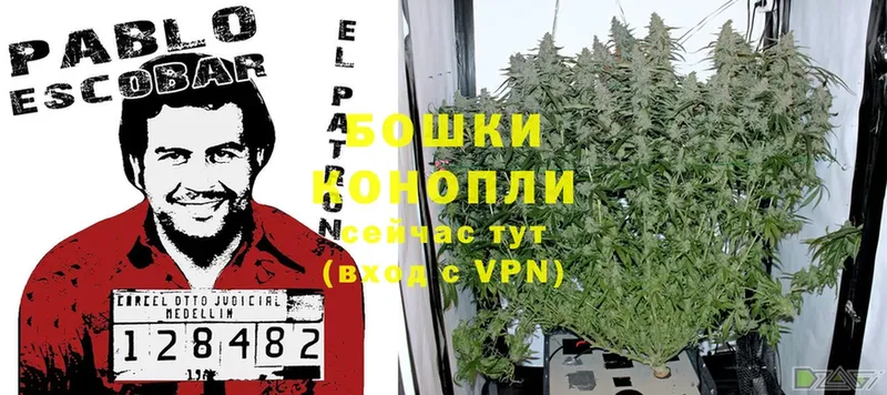 Шишки марихуана White Widow  Армавир 